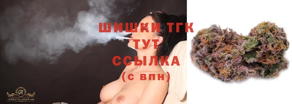 крисы Тутаев