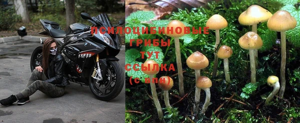 прущий лед Усмань