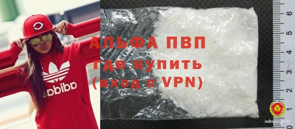 стаф Солнечногорск